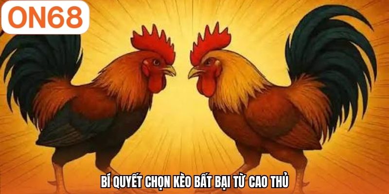 Bí quyết chọn kèo bất bại từ cao thủ